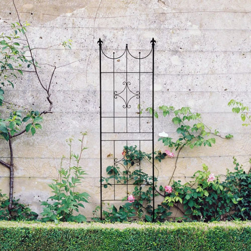 Alcott Hill® Schmeling 70'' H x 20'' W Iron Lattice Panel Trellis Wayfair